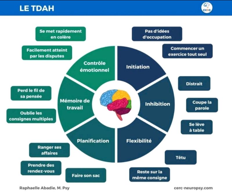 Infographie sur le #TDAH et les fonctions exécutives.