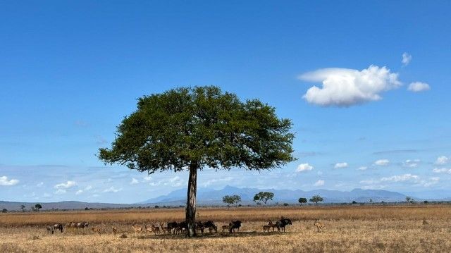 Sophrologie et Eco-anxiété